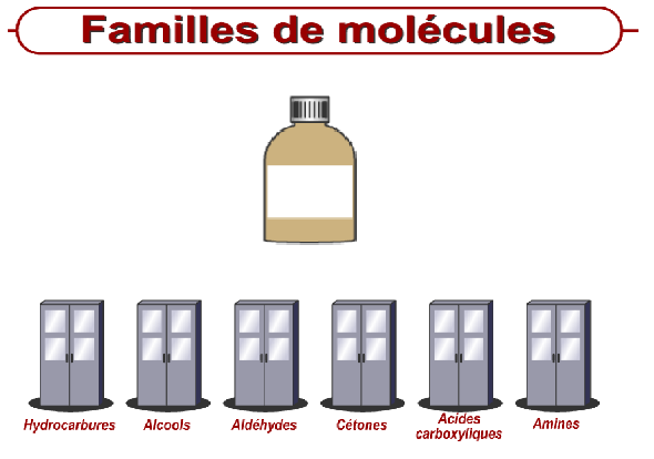 jeu fonction chimie organique